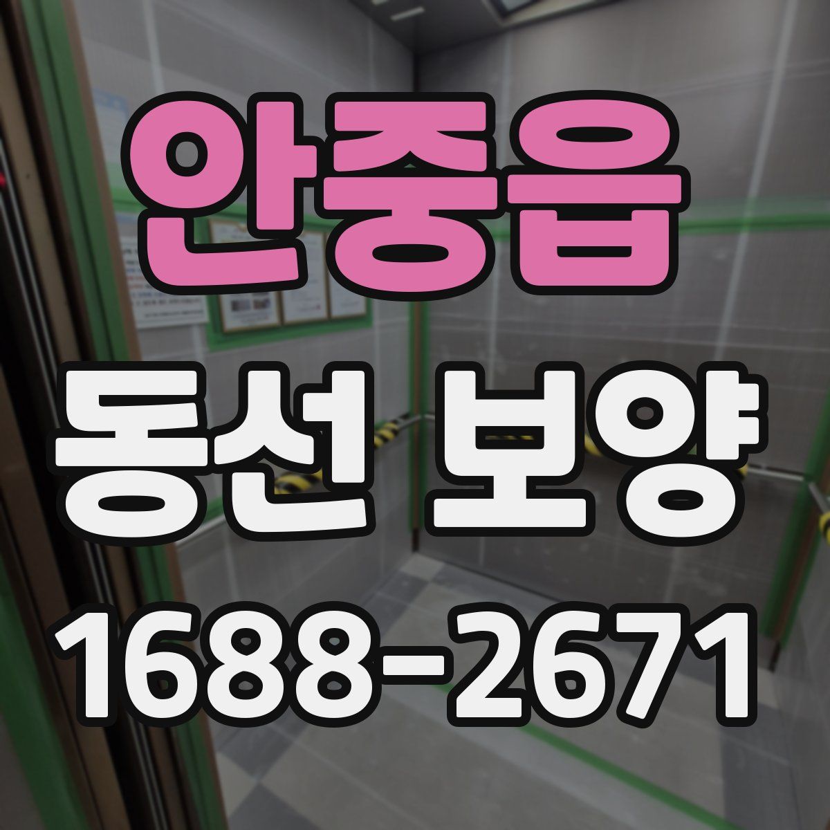 안중읍 동선 보양