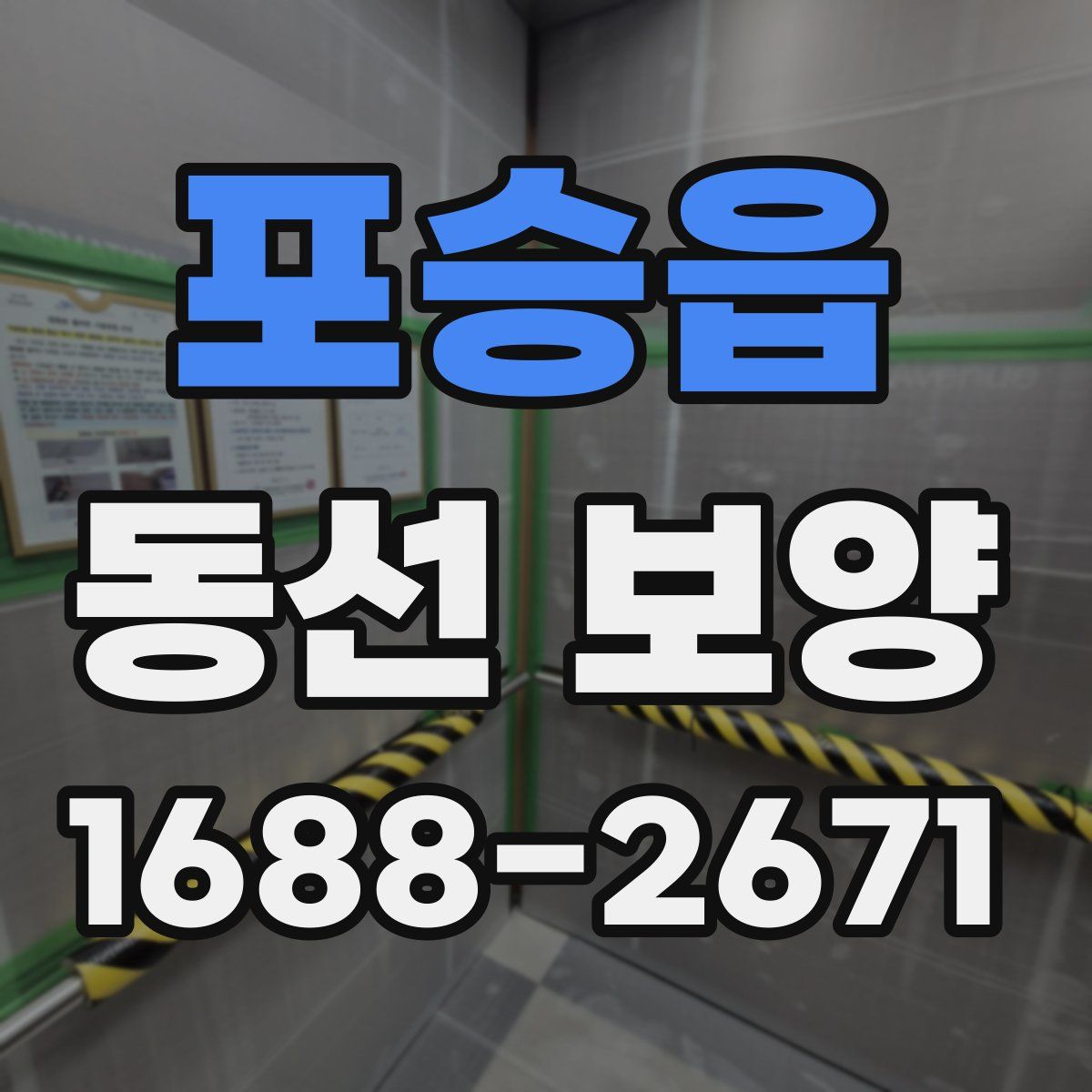 포승읍 동선 보양