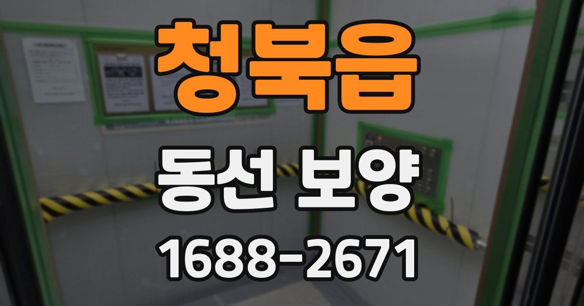 청북읍 동선 보양