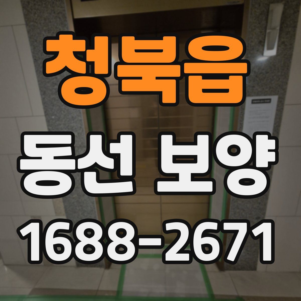 청북읍 동선 보양