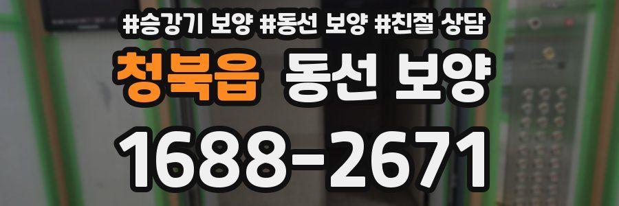 청북읍 동선 보양