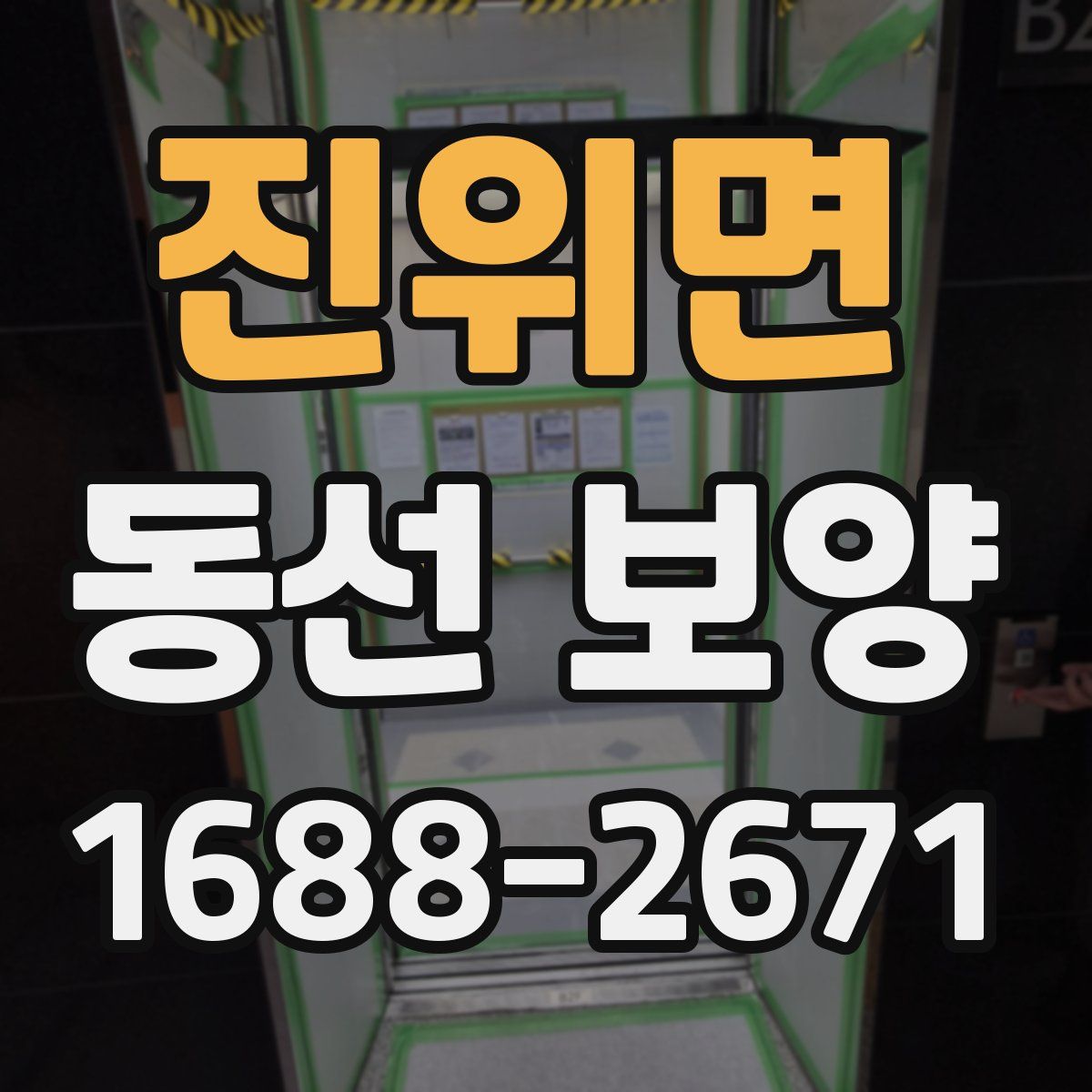 진위면 동선 보양