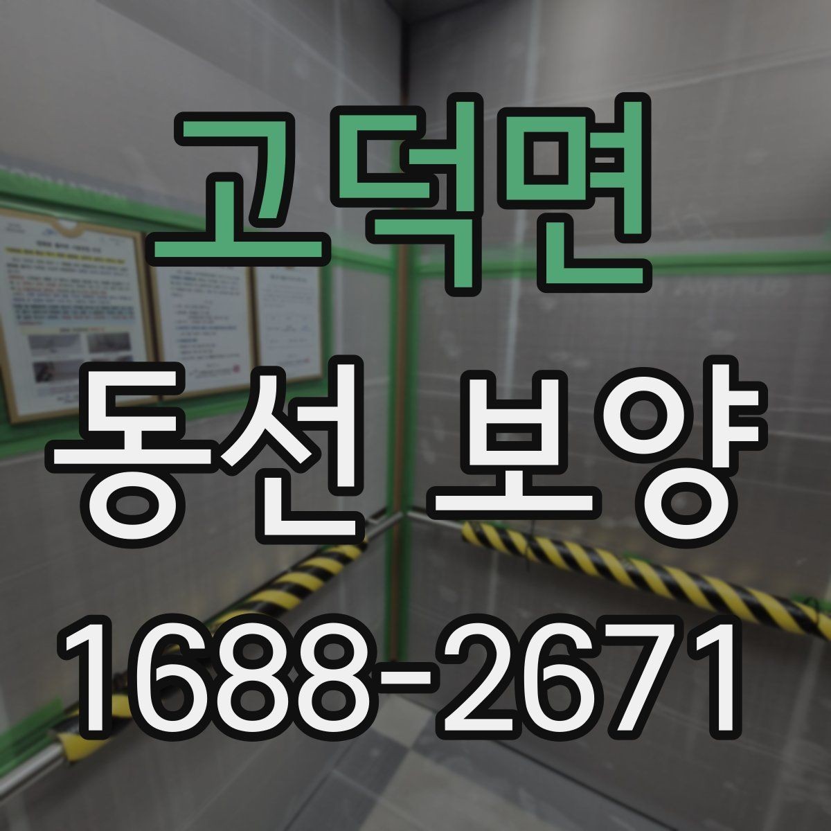 고덕면 동선 보양 업체 선정 시 확인할 실무 포인트