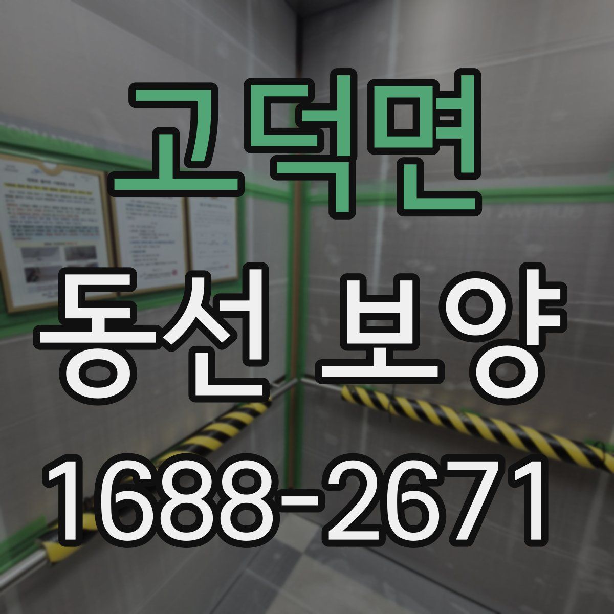 고덕면 동선 보양
