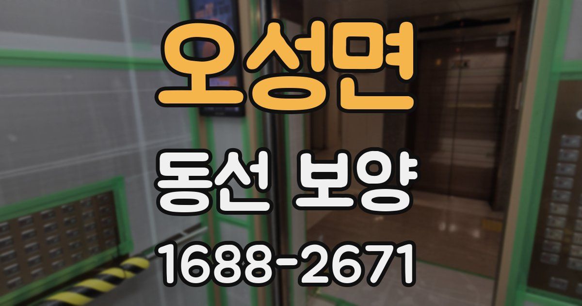 오성면 동선 보양