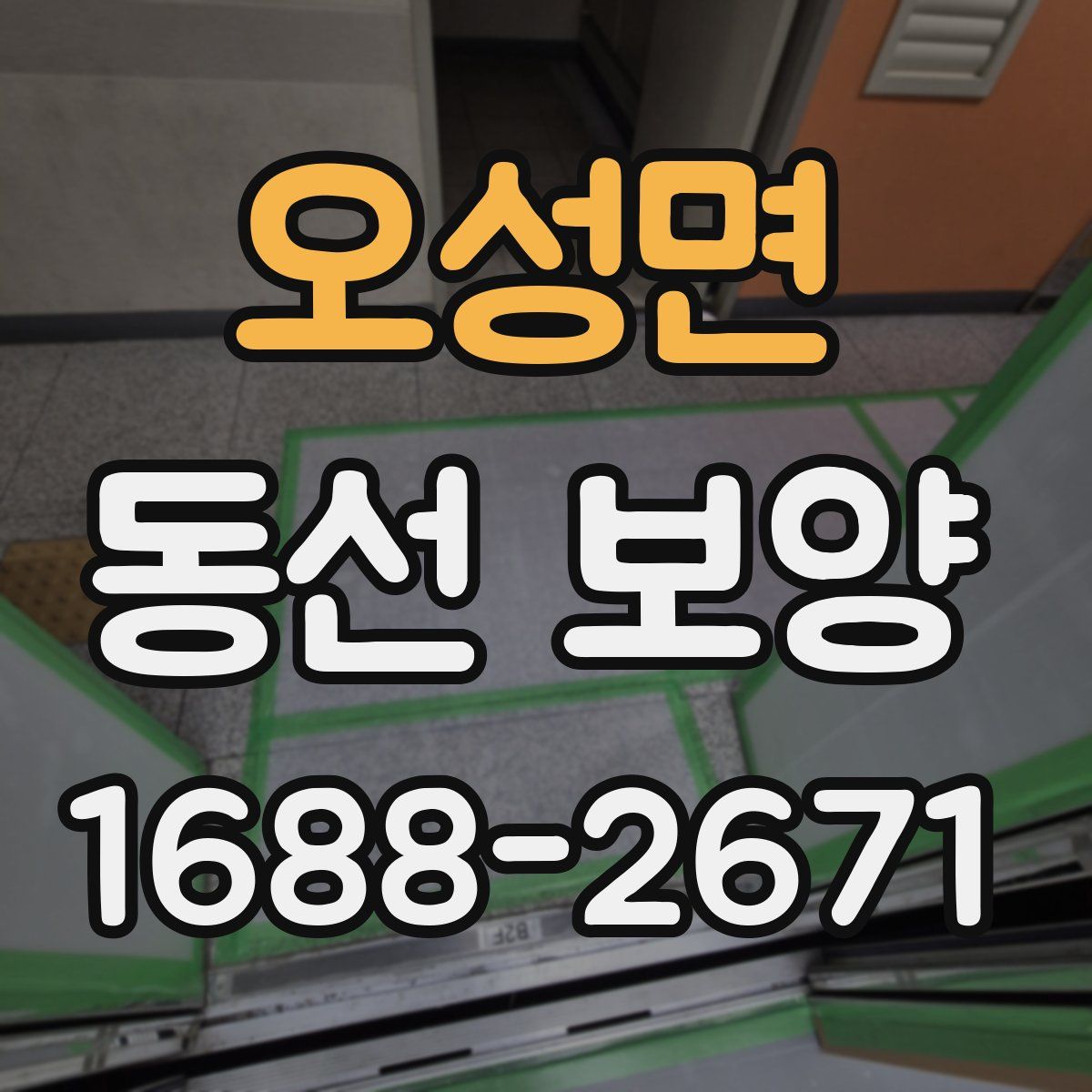 오성면 동선 보양