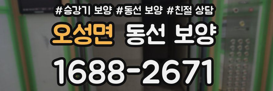 오성면 동선 보양