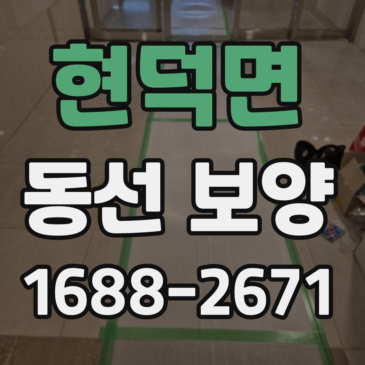 현덕면 동선 보양 작업에서 품질 차이를 만드는 요인