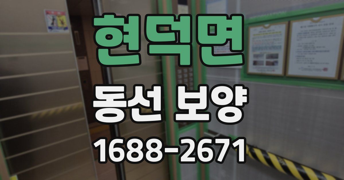 현덕면 동선 보양