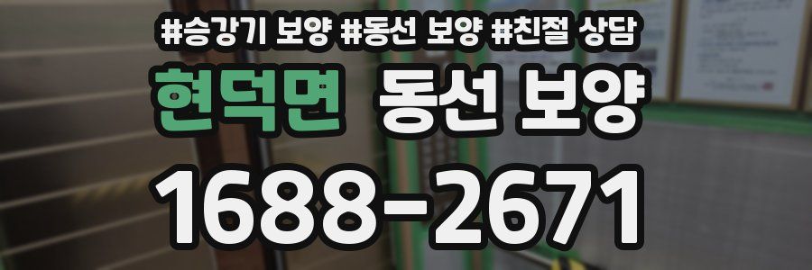 현덕면 동선 보양