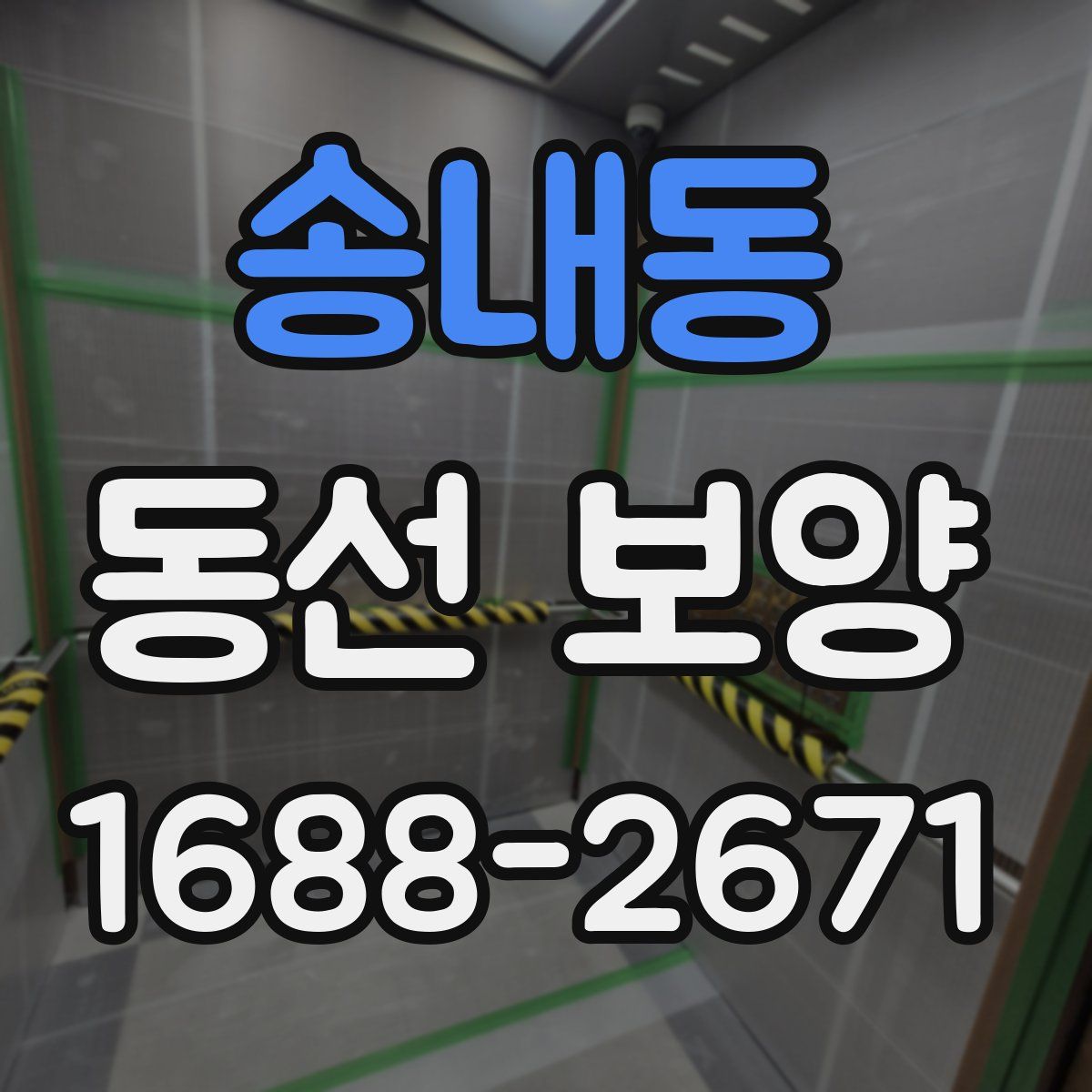 송내동 동선 보양