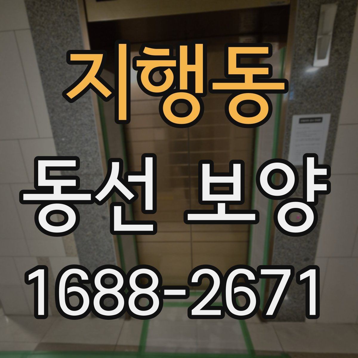 지행동 동선 보양 선택 전 비교해야 할 항목들