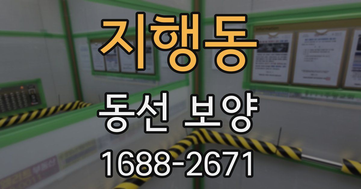 지행동 동선 보양