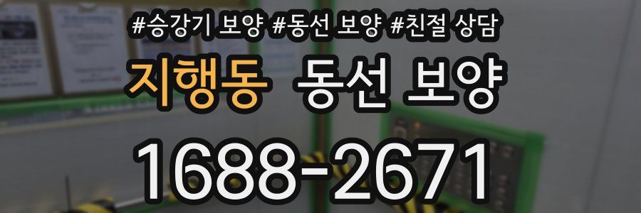 지행동 동선 보양