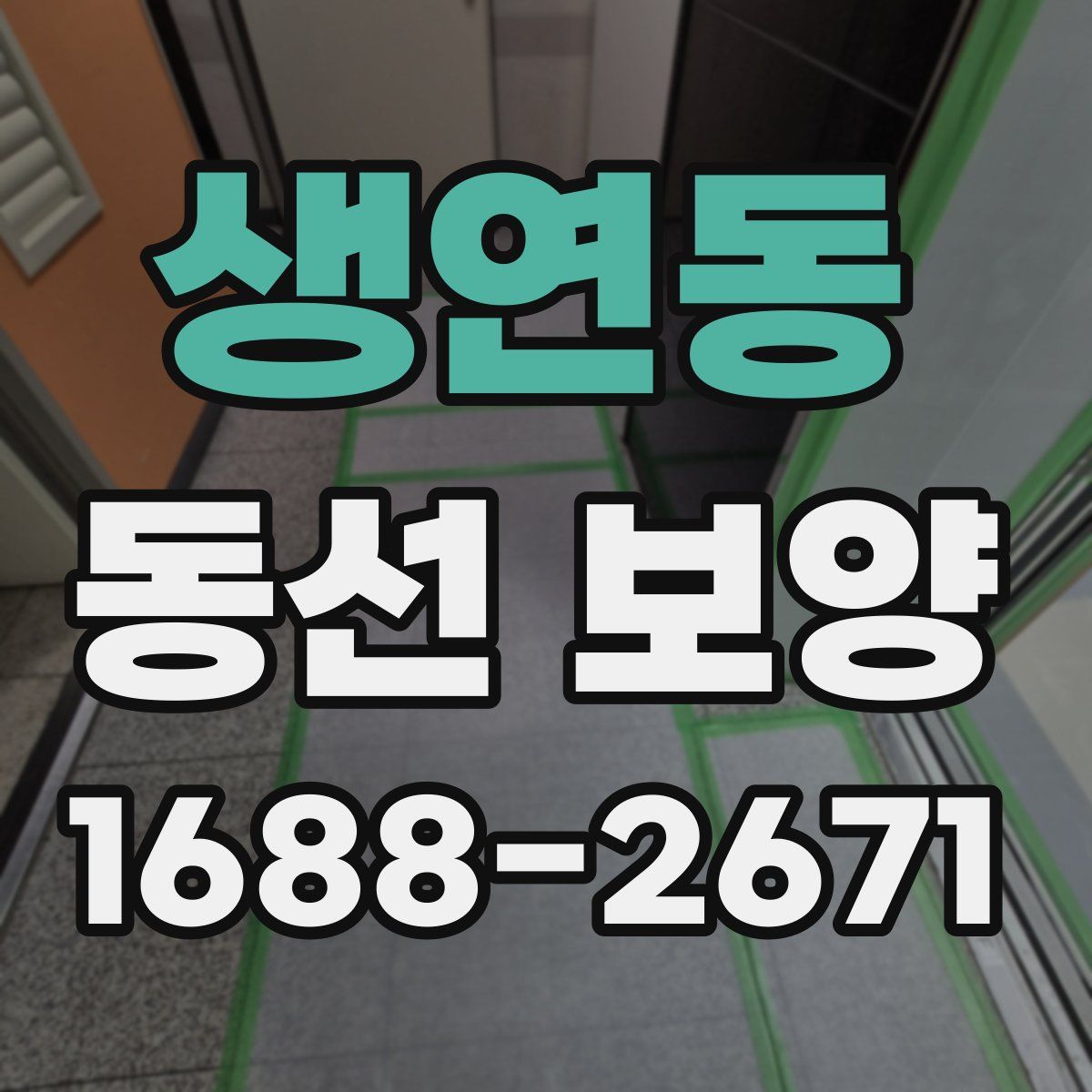 생연동 동선 보양