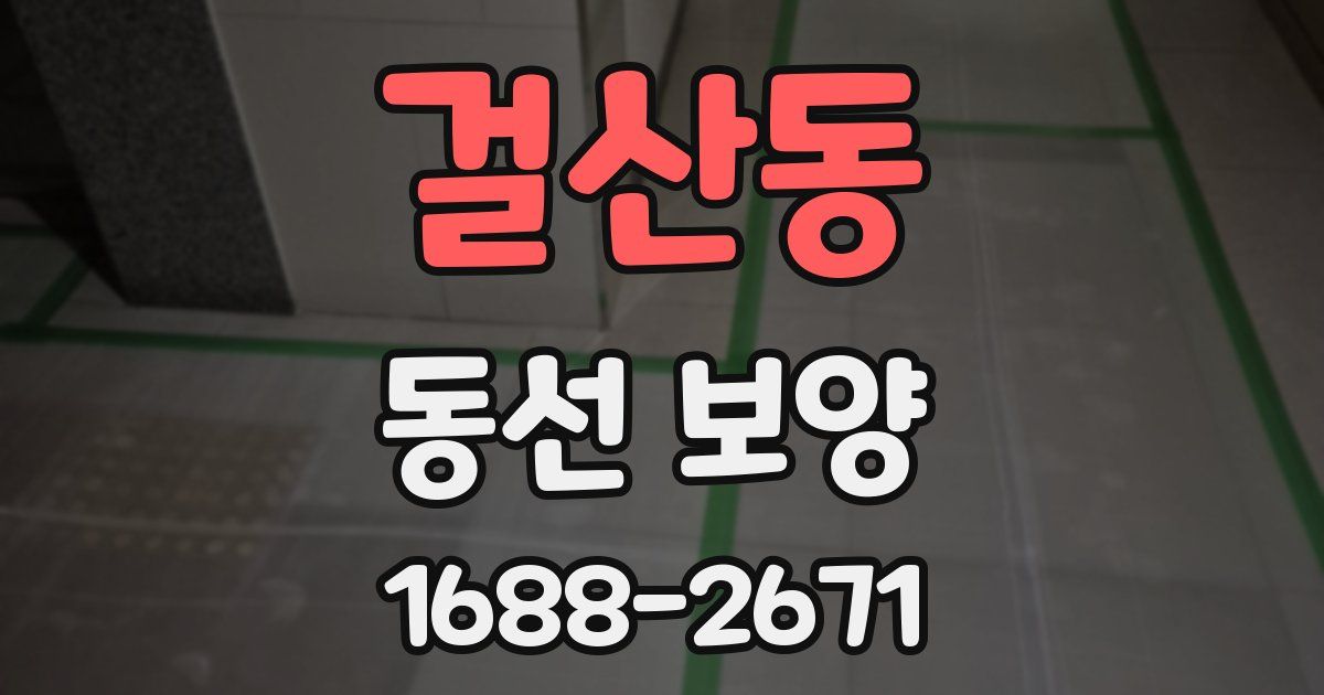 걸산동 동선 보양