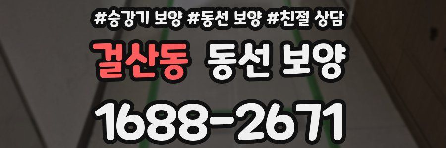 걸산동 동선 보양