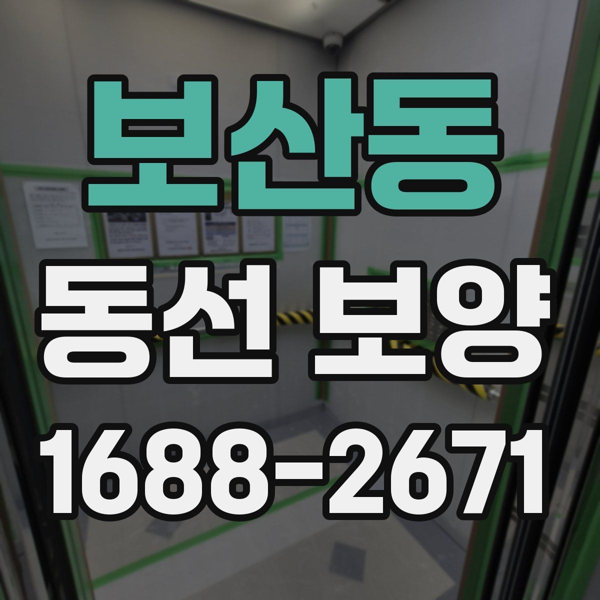 보산동 동선 보양