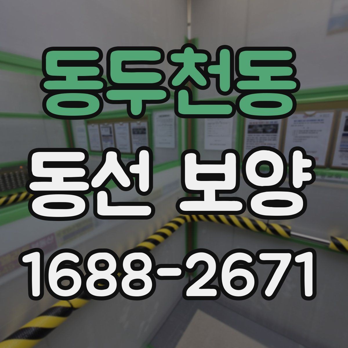 동두천동 동선 보양 일정이 꼬이지 않도록 조율하는 법