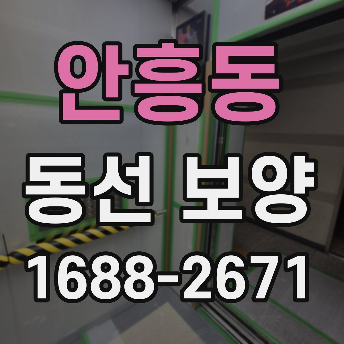 안흥동 동선 보양