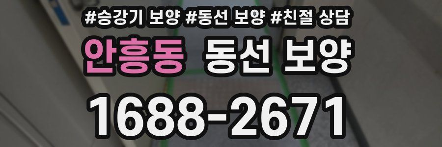 안흥동 동선 보양