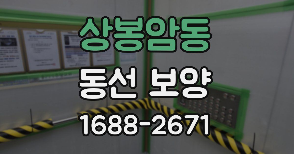 상봉암동 동선 보양