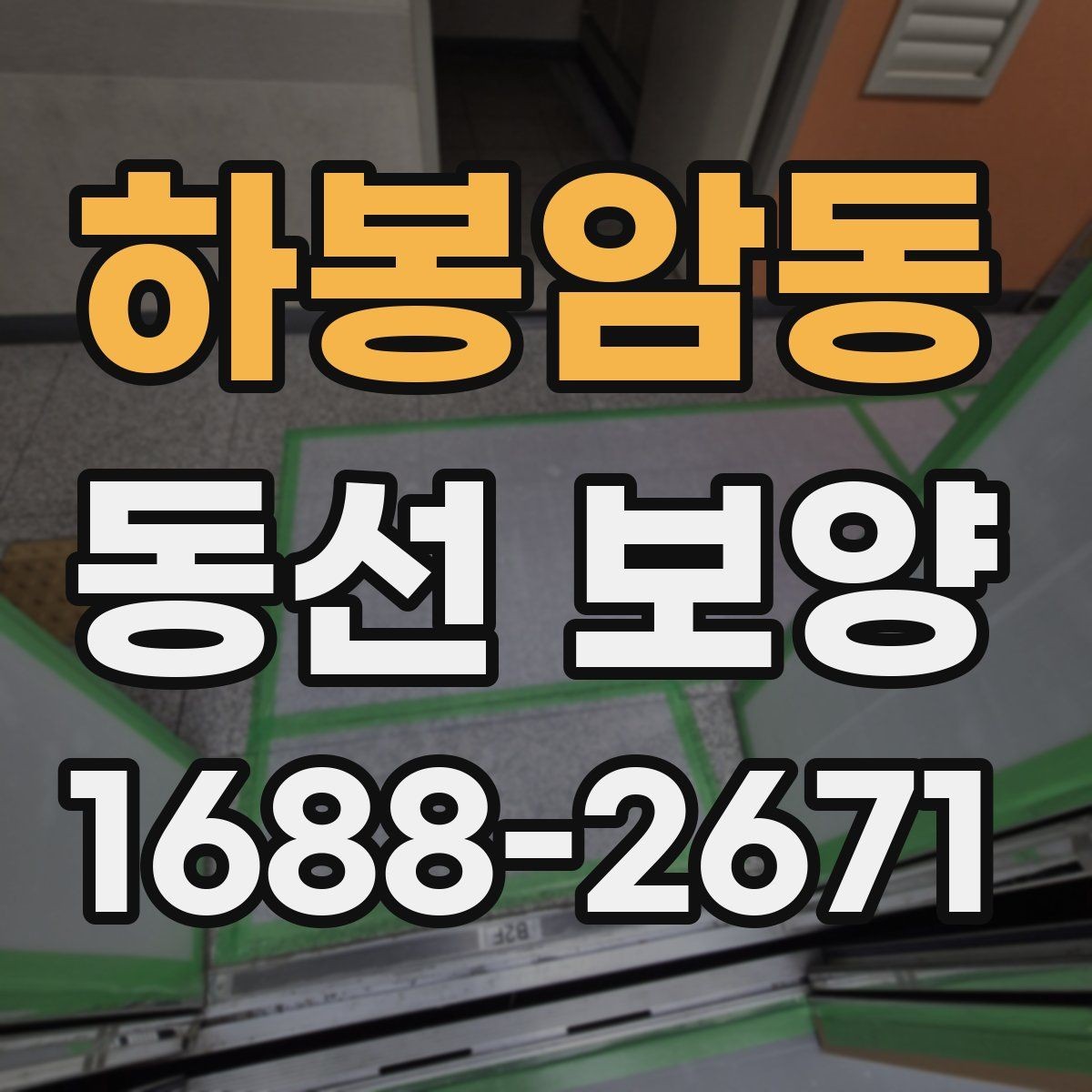 하봉암동 동선 보양 적용 시기와 적절한 타이밍