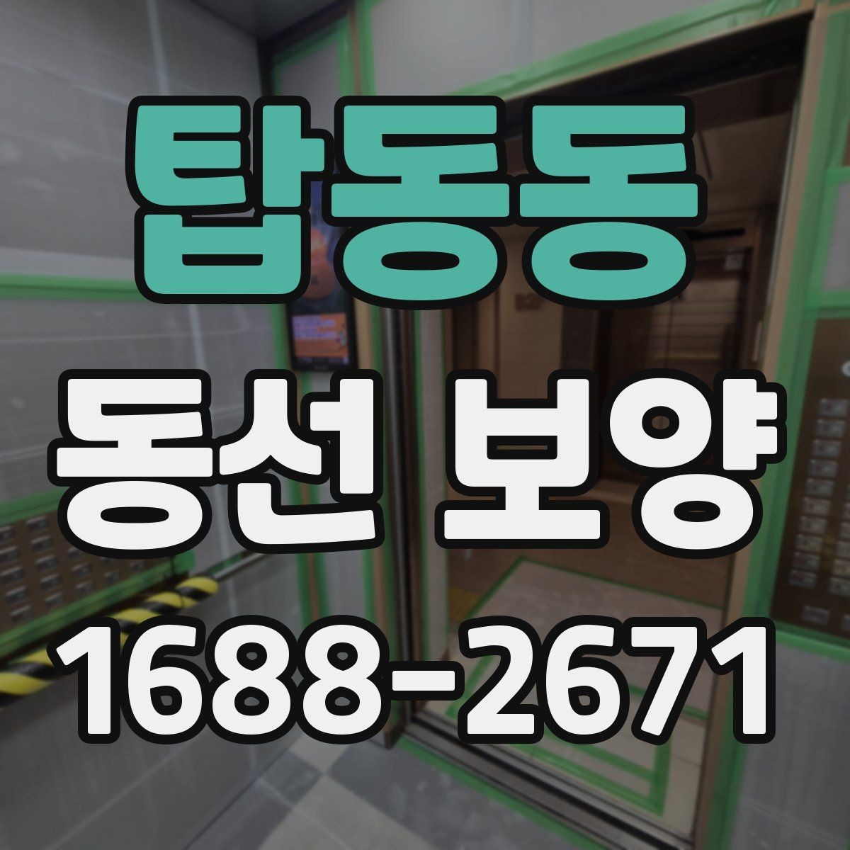 탑동동 동선 보양 현장에서 효율을 높이는 방법
