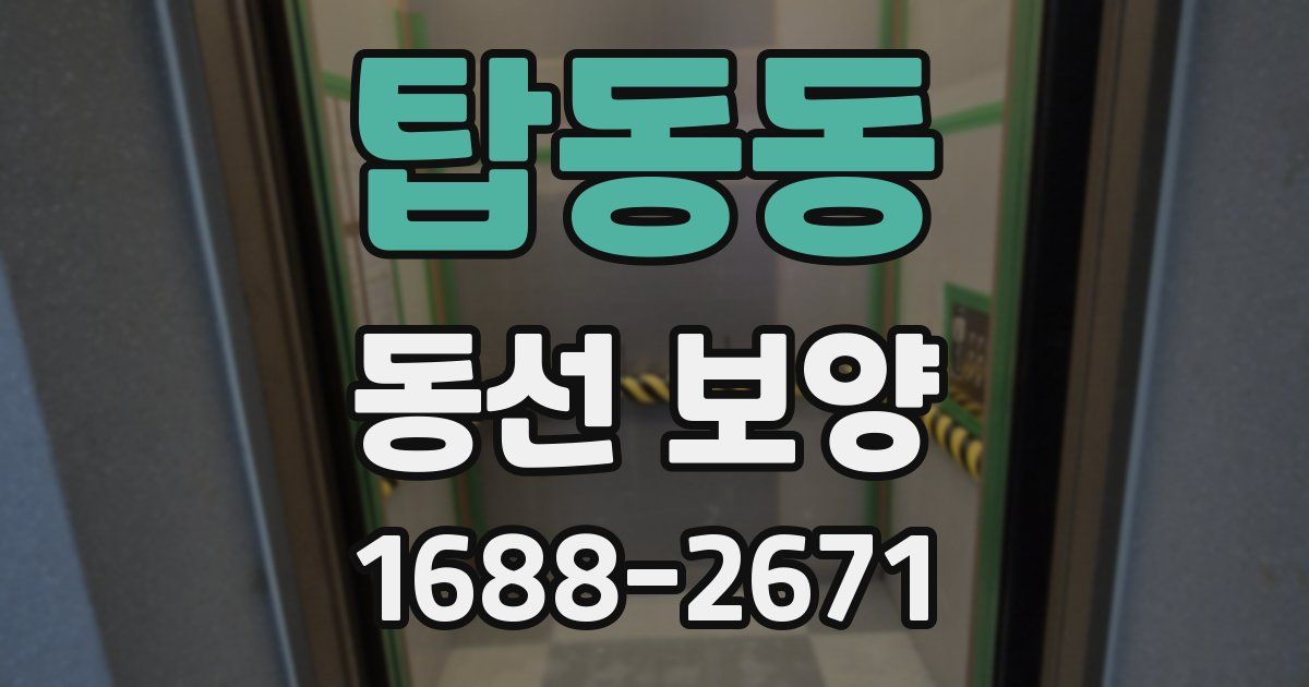 탑동동 동선 보양