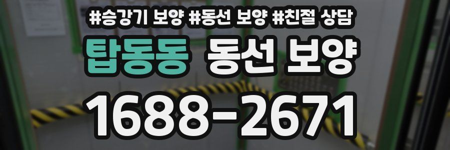 탑동동 동선 보양