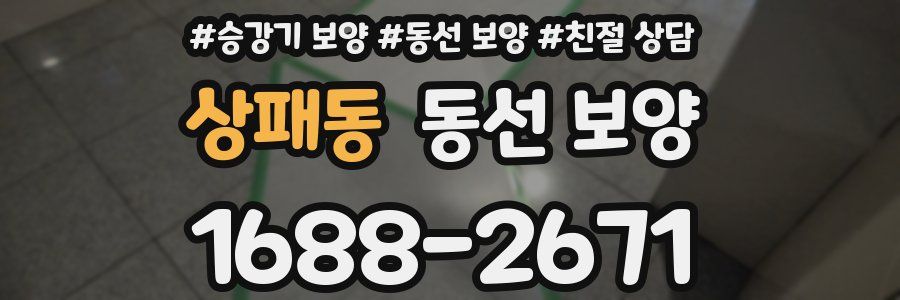 상패동 동선 보양