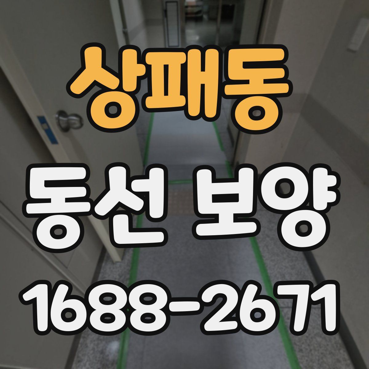 상패동 동선 보양