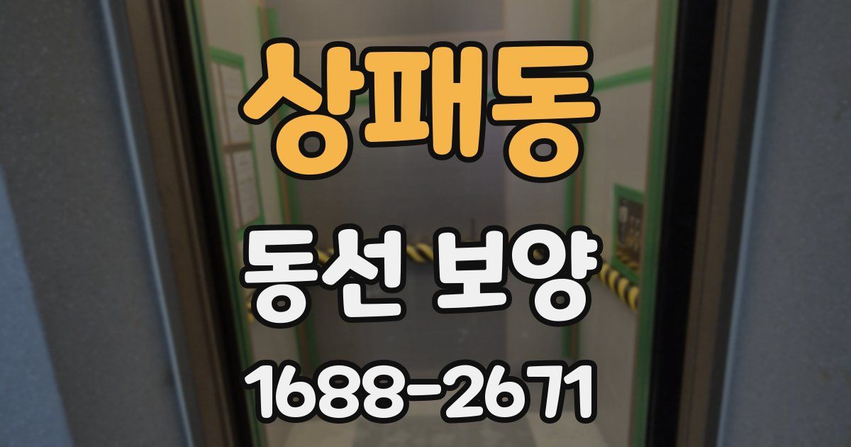 상패동 동선 보양