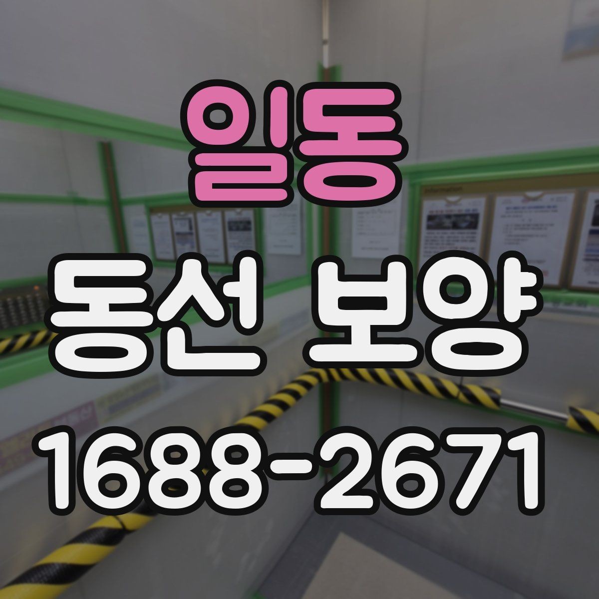 일동 동선 보양 선택 전 비교해야 할 항목들