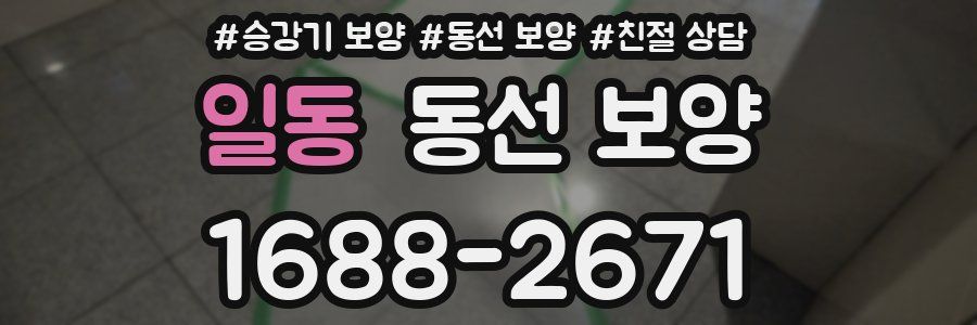 일동 동선 보양