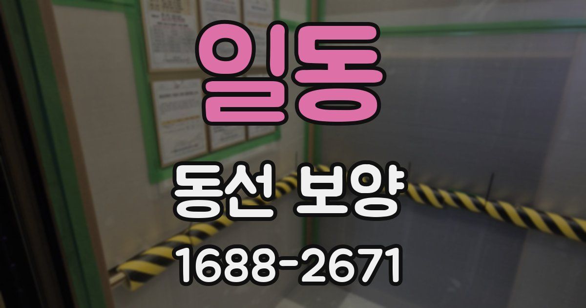 일동 동선 보양