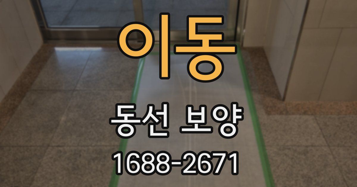 이동 동선 보양