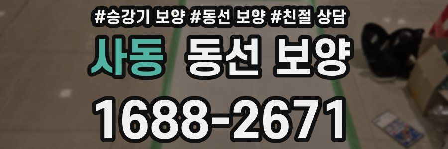사동 동선 보양