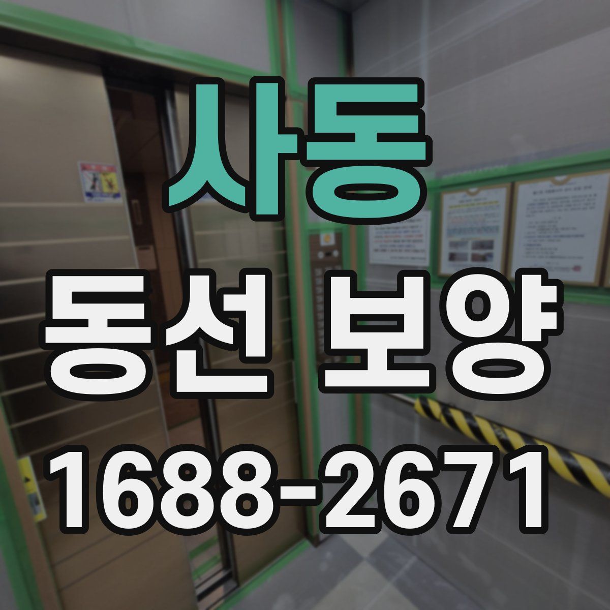 사동 동선 보양