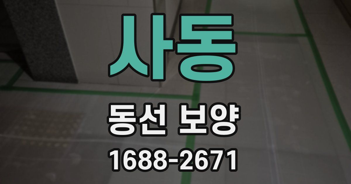 사동 동선 보양