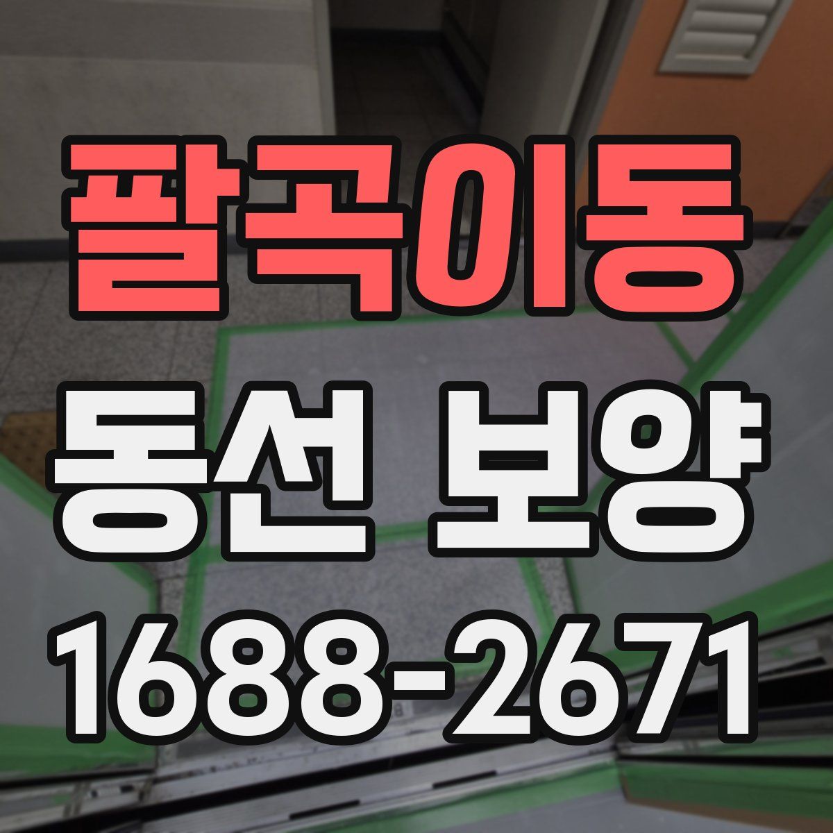 팔곡이동 동선 보양
