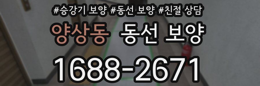 양상동 동선 보양