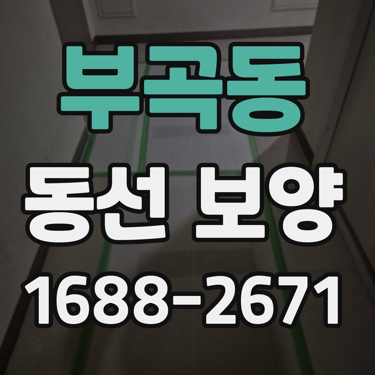 부곡동 동선 보양 비용이 달라지는 요소들