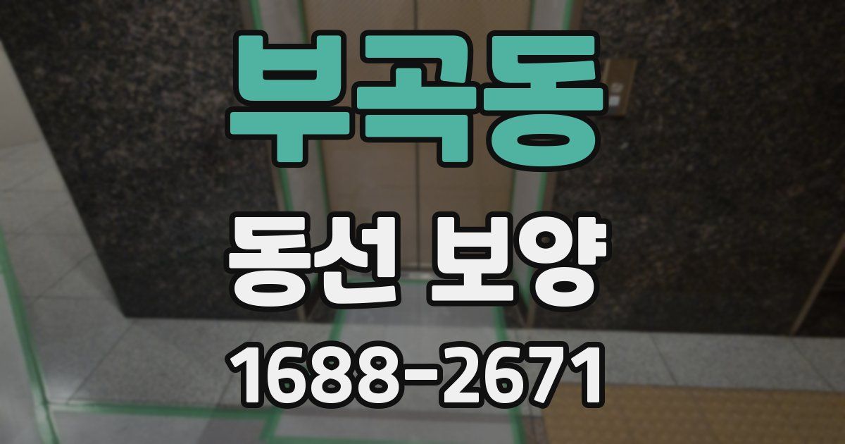 부곡동 동선 보양