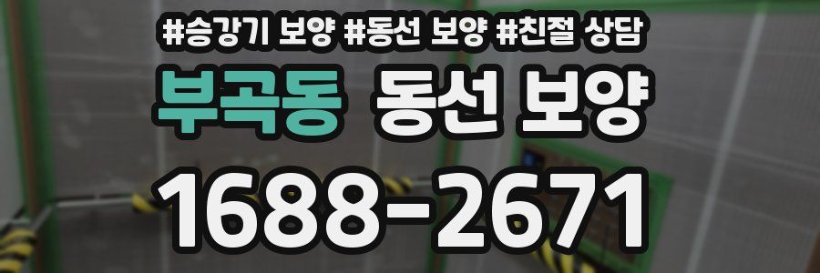 부곡동 동선 보양