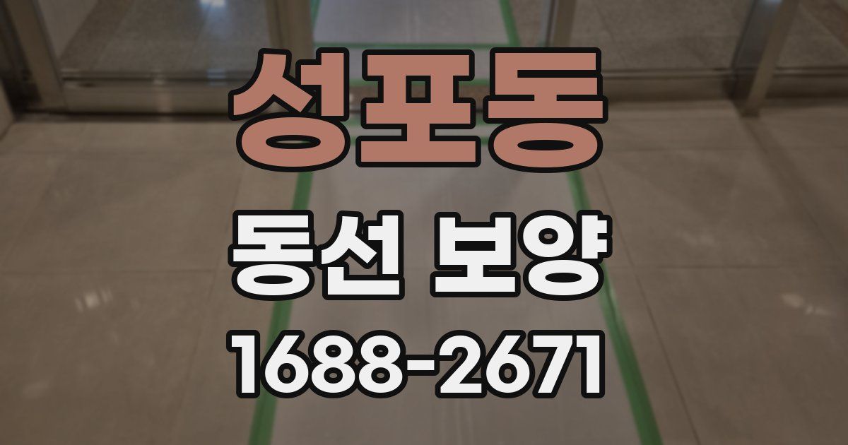 성포동 동선 보양