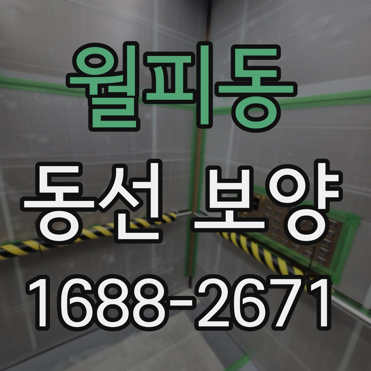 월피동 동선 보양 작업에서 자주 묻는 질문 정리