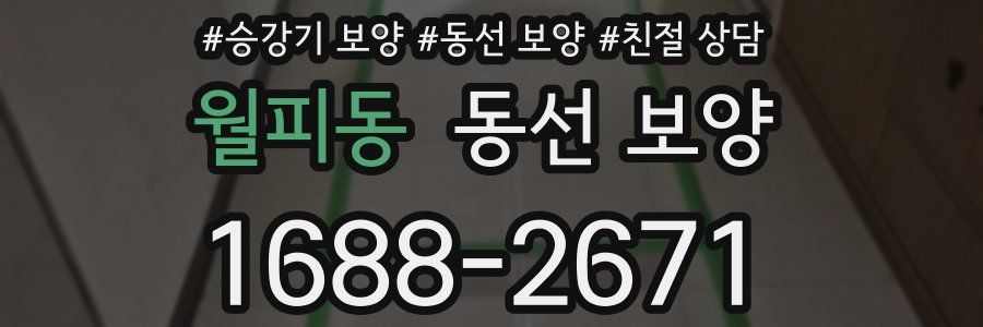 월피동 동선 보양