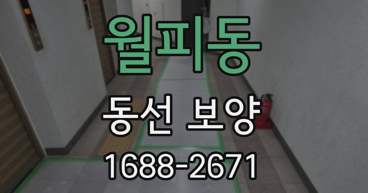 월피동 동선 보양