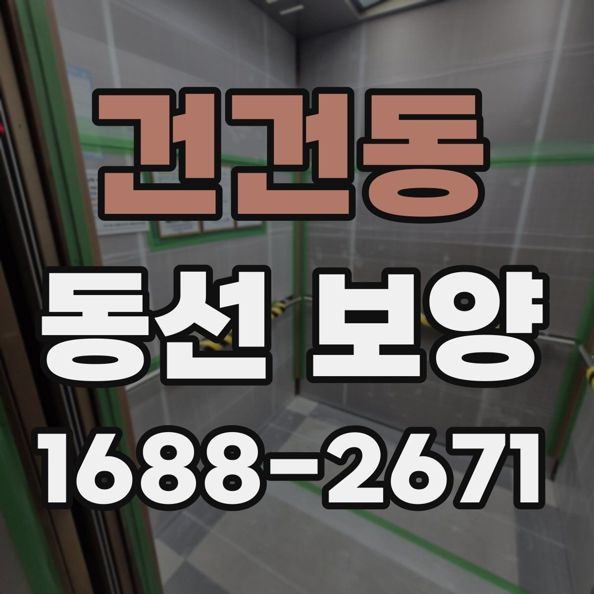건건동 동선 보양 자재를 고를 때 확인할 점